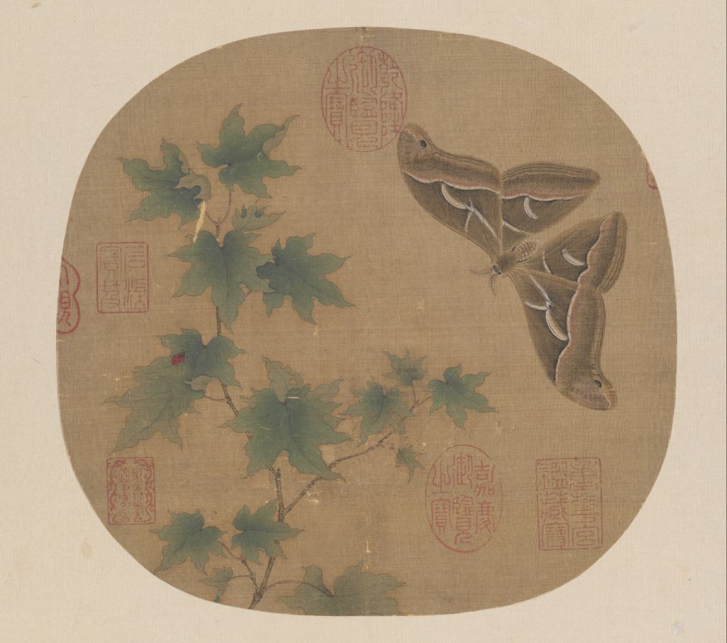 图片[1]-Green Maple Giant Butterfly Page-China Archive